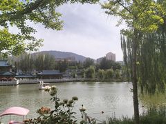 -雁滩公园