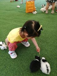 -萌宠亲子动物乐园(槐房万达店)