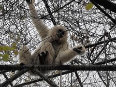 -长鹿旅游休博园