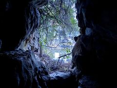 -上海吴淞炮台湾国家湿地公园