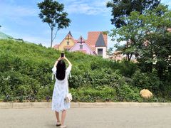 -大塘金香草谷