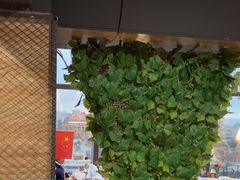 -忆咖啡观景餐厅(桂林象山公园店)