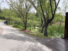 -自然谷恐龙园
