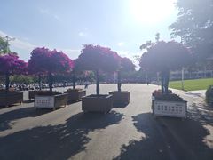 -西南林业大学(白龙校区)