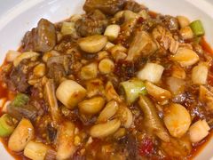 -院8里·少城记忆老川菜(宽窄巷子店)