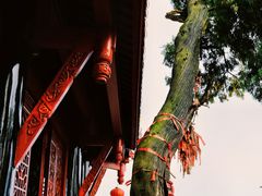 -青城山