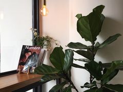 -常识咖啡common sense(春熙路店)