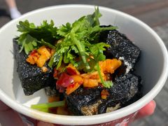-黑色经典臭豆腐·湖南特产(坡子街特产局店)