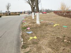 -西安汉城湖景区