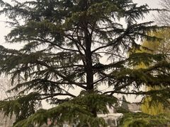 -睦南公园