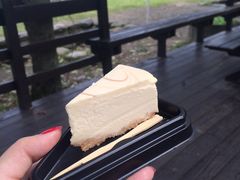 -瑞穗牧场