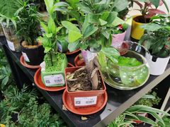 -联华超市(新闸路店)