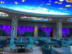 -瑞德姆美人鱼海底演艺主题餐厅(亚龙湾店)