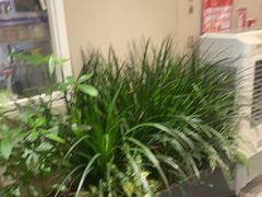 -隅乐胡椒虾·台湾菜·团建(皇岗店)