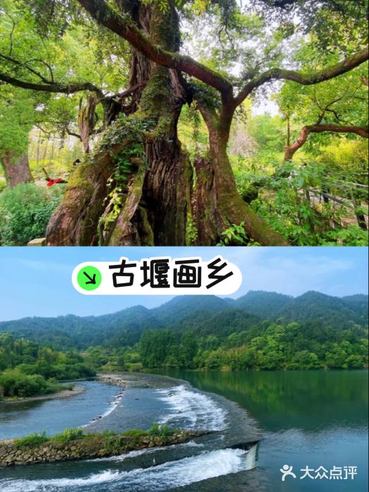 古堰画乡景区图片