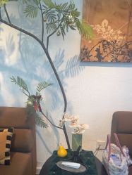 -小梨专业脱毛连锁机构