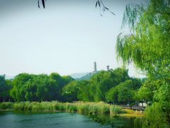 -北坞公园