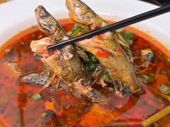 -院8里·少城记忆老川菜(宽窄巷子店)