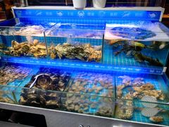 -星伦多自助料理(爱琴海店)