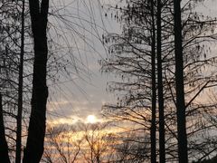 -上海野生动物园