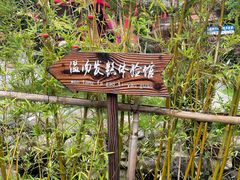 -温汤发糕(温汤店)