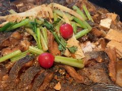 -老板恋上鱼(恒隆广场店)