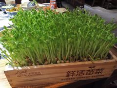 -渝味晓宇火锅(合川路店)