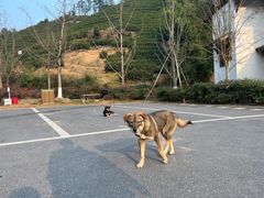 -径山寺