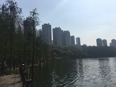 -重庆彩云湖湿地公园