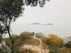 -上海市保健医疗中心