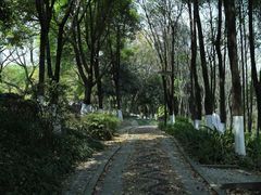 -重庆彩云湖湿地公园