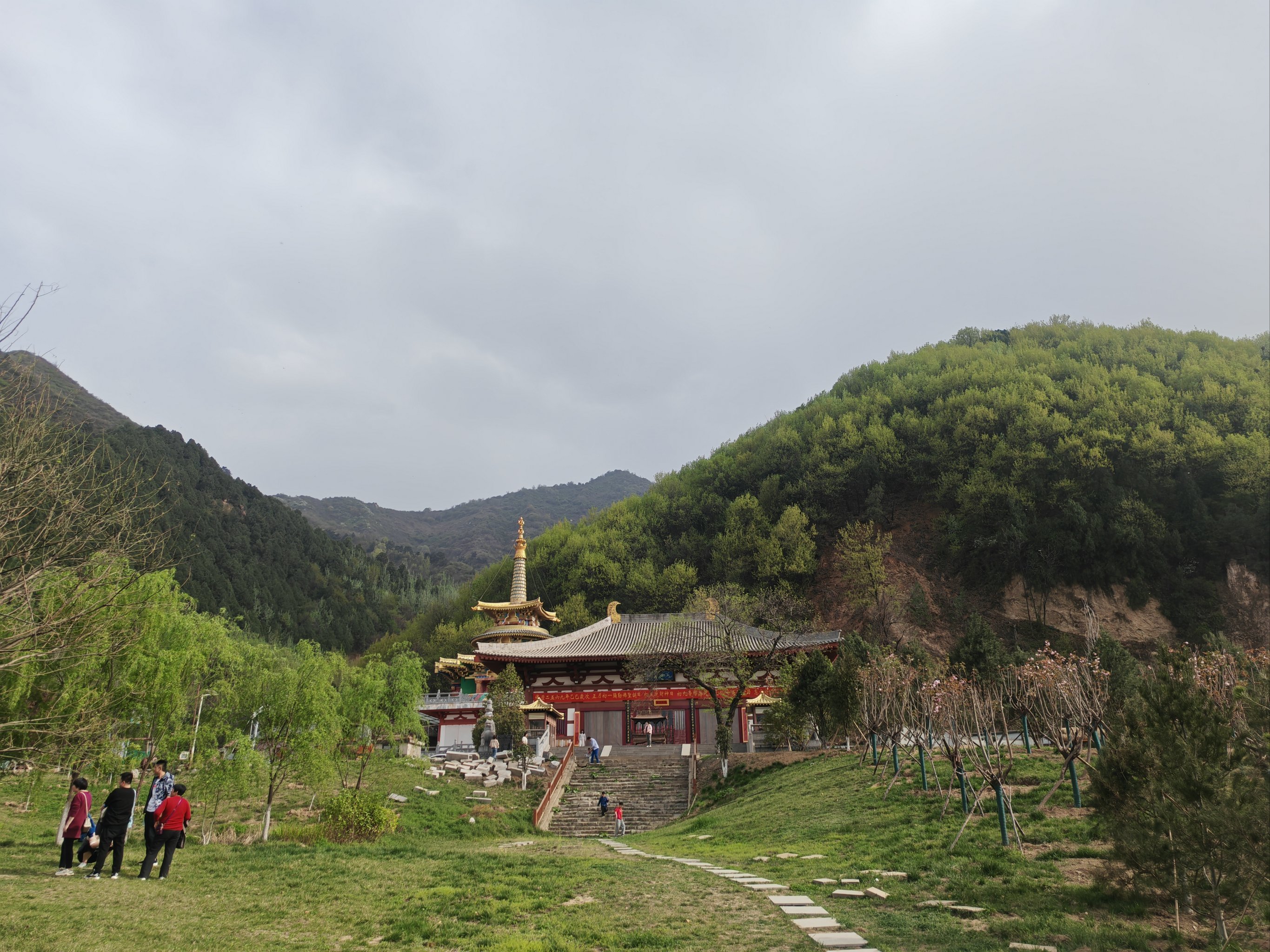 上王村严密寺登山看白鹃梅
