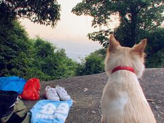 -火炉山森林公园