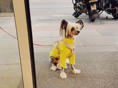 -喜士多(泰安店)