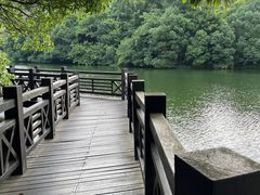 -白马涧龙池景区