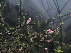 -白云源风景区