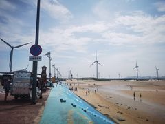 -长江澳风力发电景观区