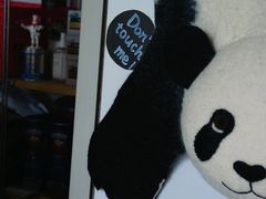 -熊猫一间店欧式奶茶铺
