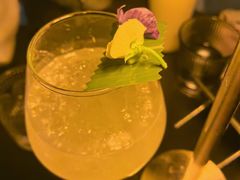 -Mx.cocktail bar