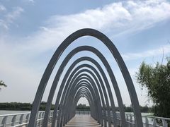 -大兴滨河森林公园