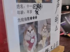 -逃脱反斗城沉浸剧情密室(北京路店)