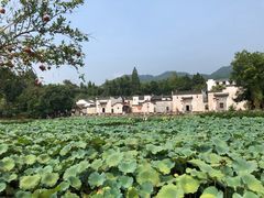 -环秀楼(黄山呈坎店)