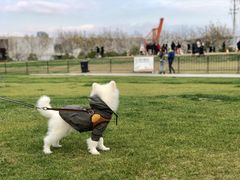 -栖露营camping·天幕烧烤·团建拓展·采摘营地