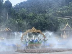 -西双版纳原始森林公园