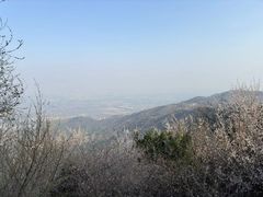-香山公园