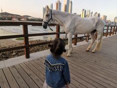 -青岛第三海水浴场