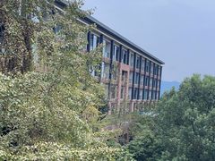 -逸廊大堂吧-下午茶·简餐-千岛湖自由洲际殿