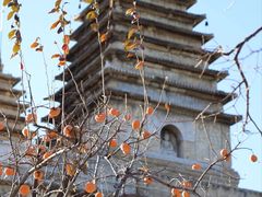 -北京石刻艺术博物馆