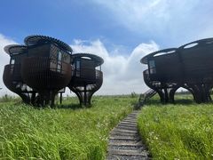 -启东黄金海滩景区