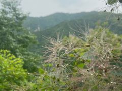 -兴教寺